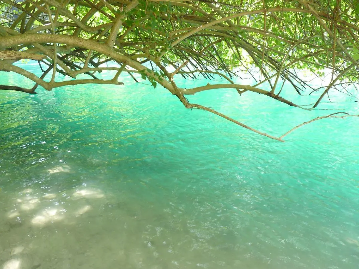 Bed & Breakfast Boutique B&B At Stone Village Bluefields Jamaica